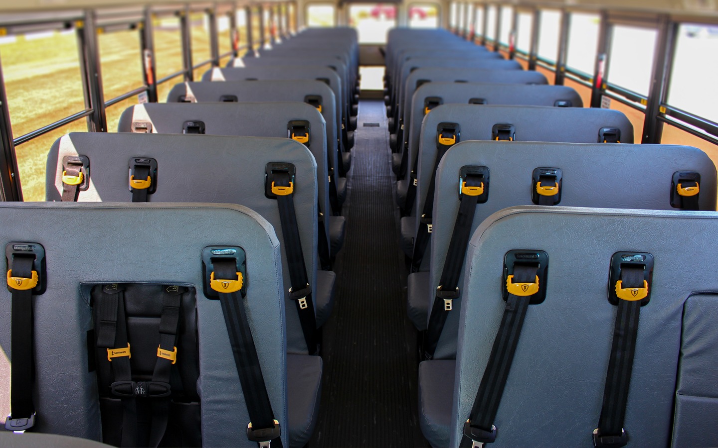 Bus Seat Belts